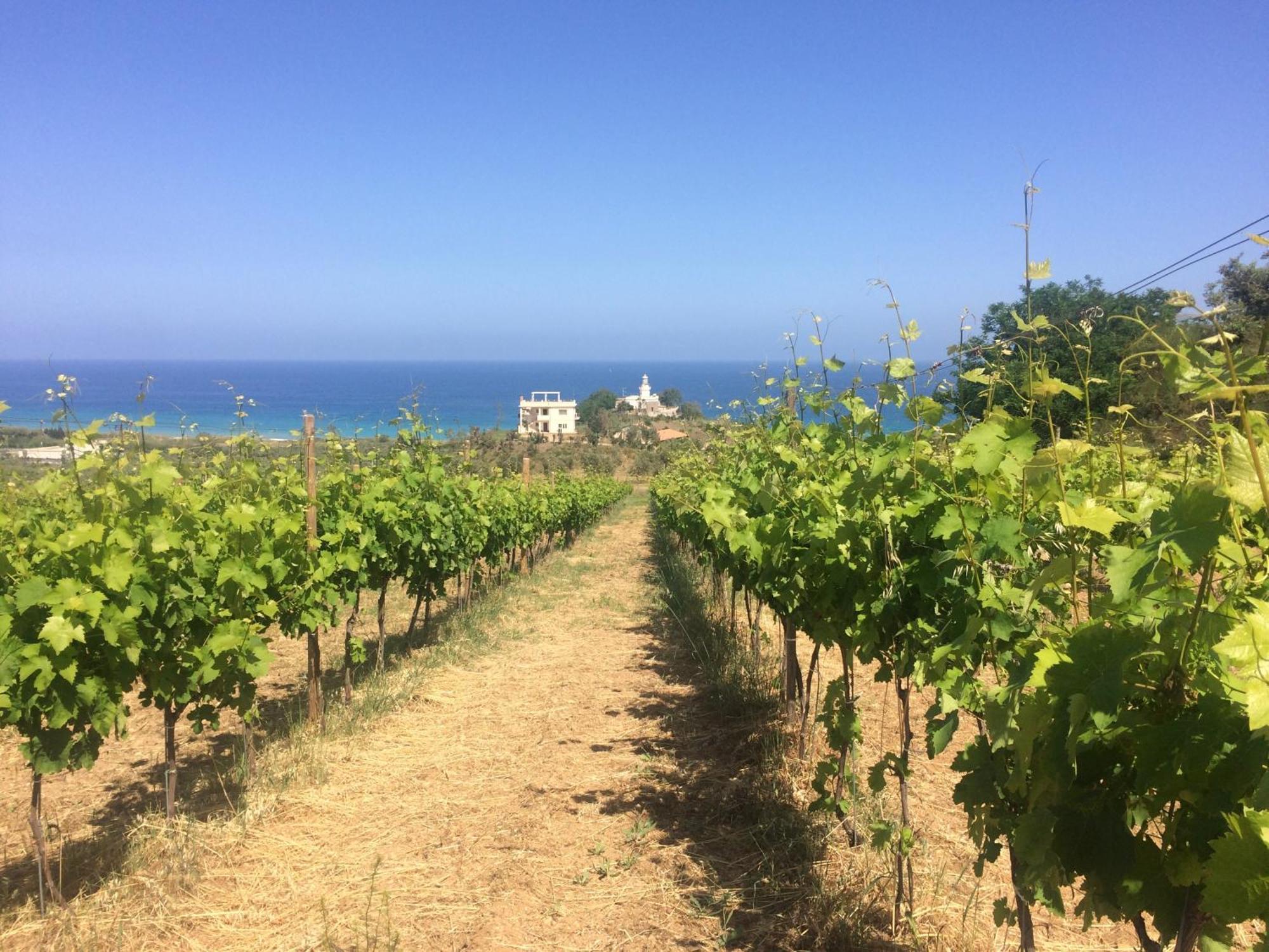 Agriturismo 'A Lanterna Marina di Monasterace 外观 照片