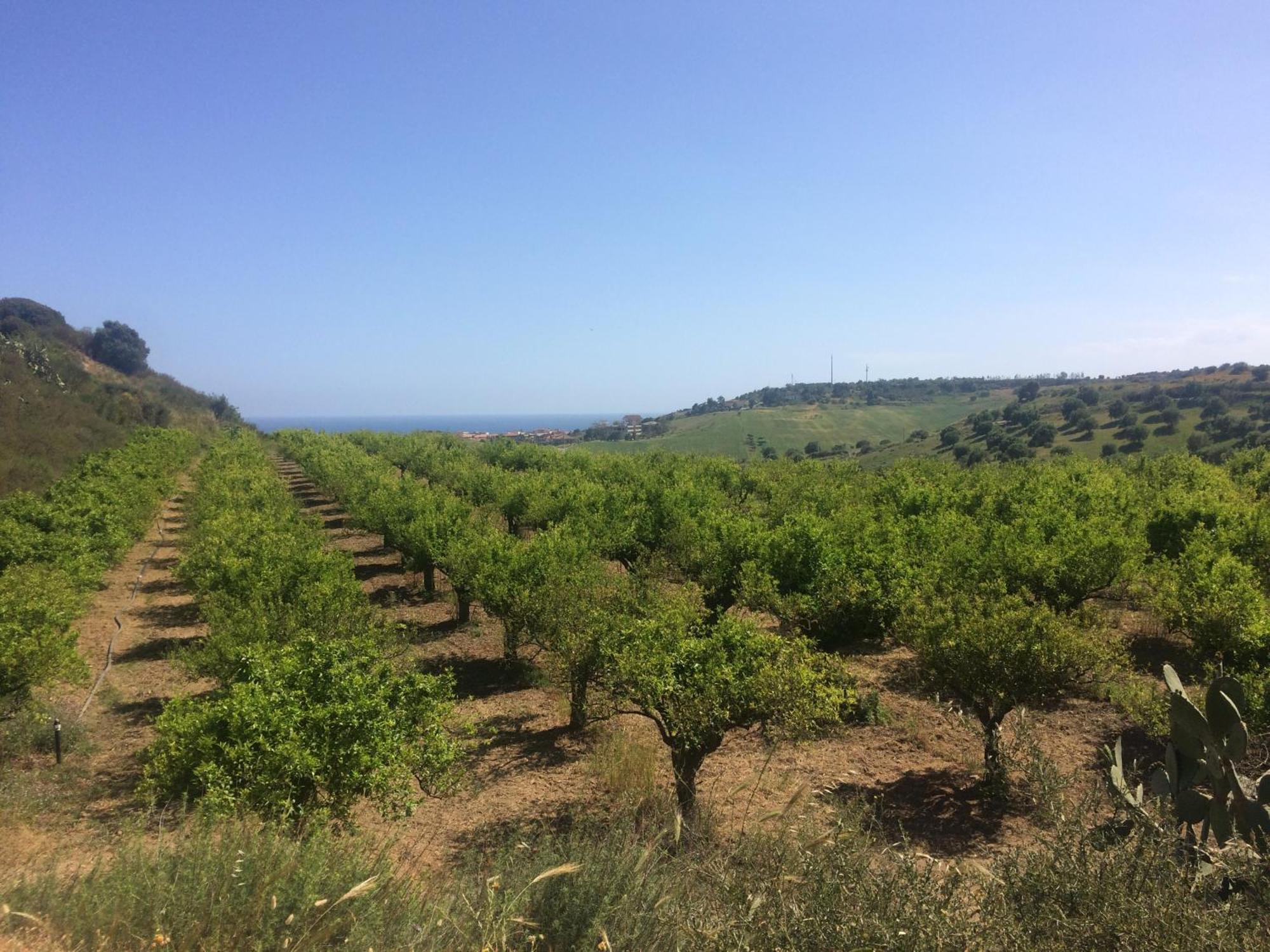 Agriturismo 'A Lanterna Marina di Monasterace 外观 照片