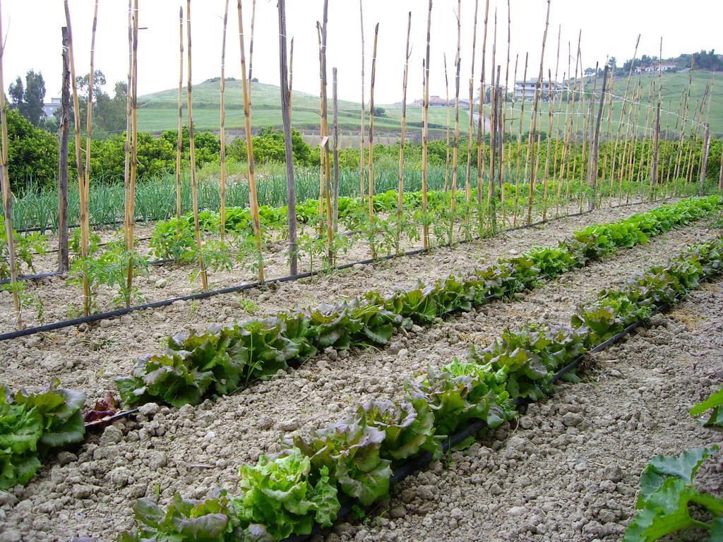 Agriturismo 'A Lanterna Marina di Monasterace 外观 照片