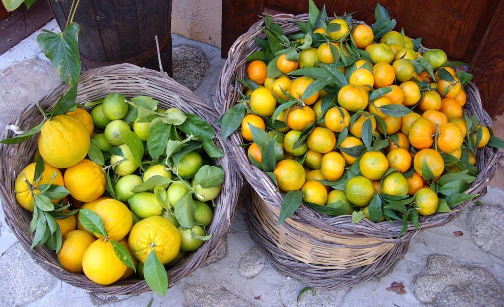 Agriturismo 'A Lanterna Marina di Monasterace 外观 照片